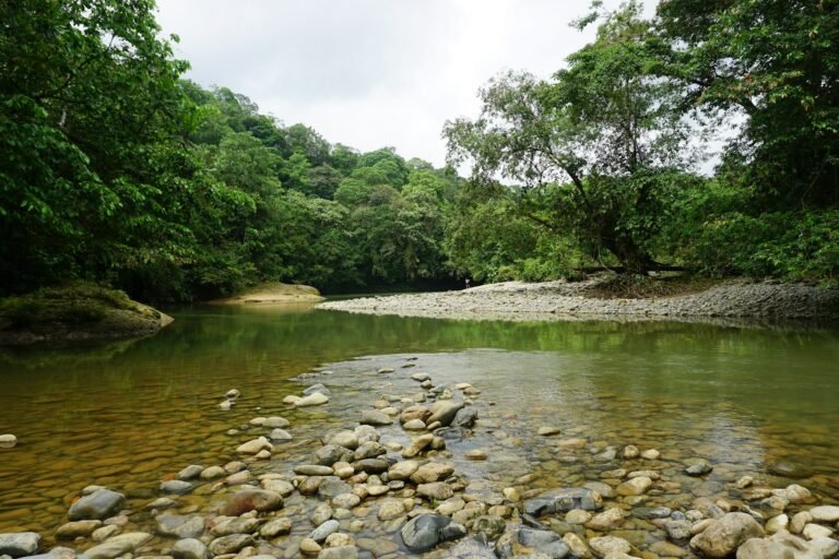 Río y bosque en un territorio de Antioquia