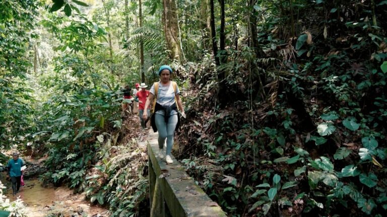 Recorrido territorial de mapeo de microcuencas con lideresas y líderes comunitarios